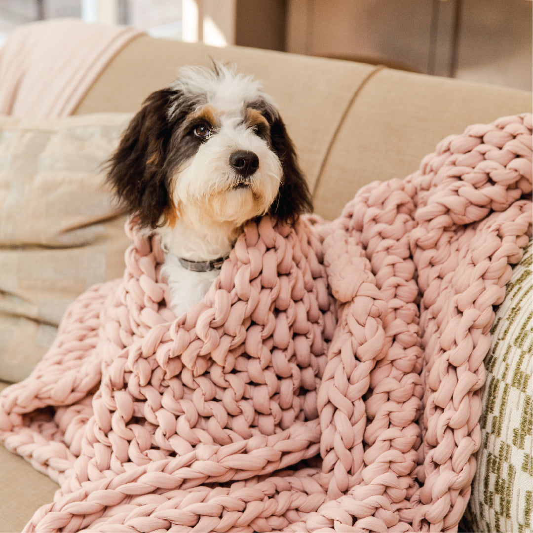 Tips To Treat Anxiety In Dogs With a Weighted Blanket (Vet's Opinion)