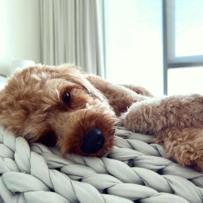 Can You Sleep With A Weighted Blanket?