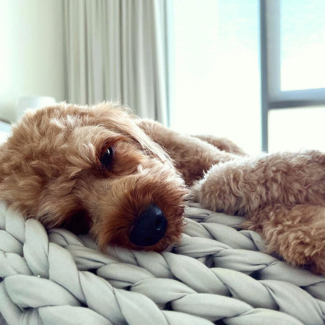 Can You Sleep With A Weighted Blanket?