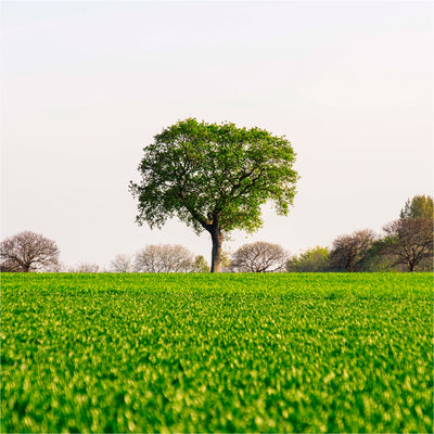 Making Sense of Climate Positive Labels
