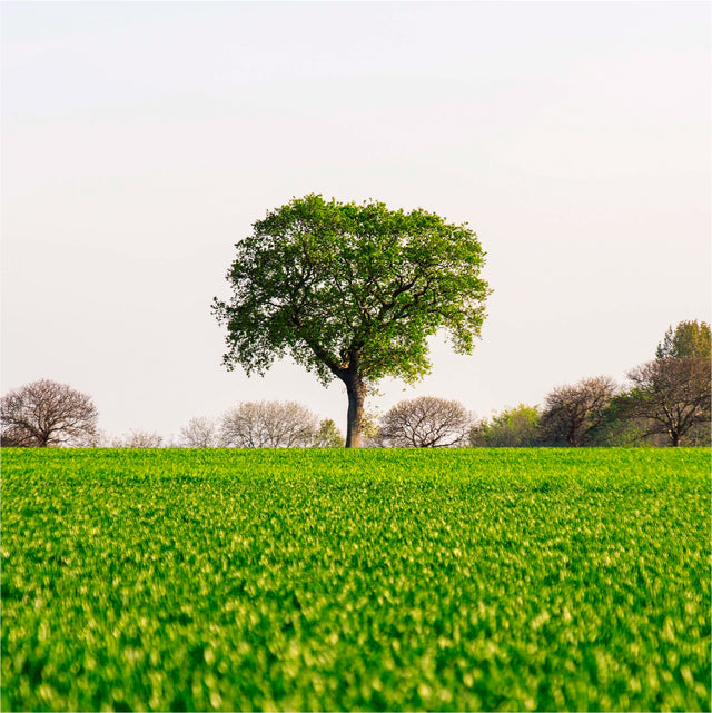 Making Sense of Climate Positive Labels