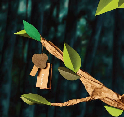 What Does GOTS And GOLS-Certified Mean For Brands?
