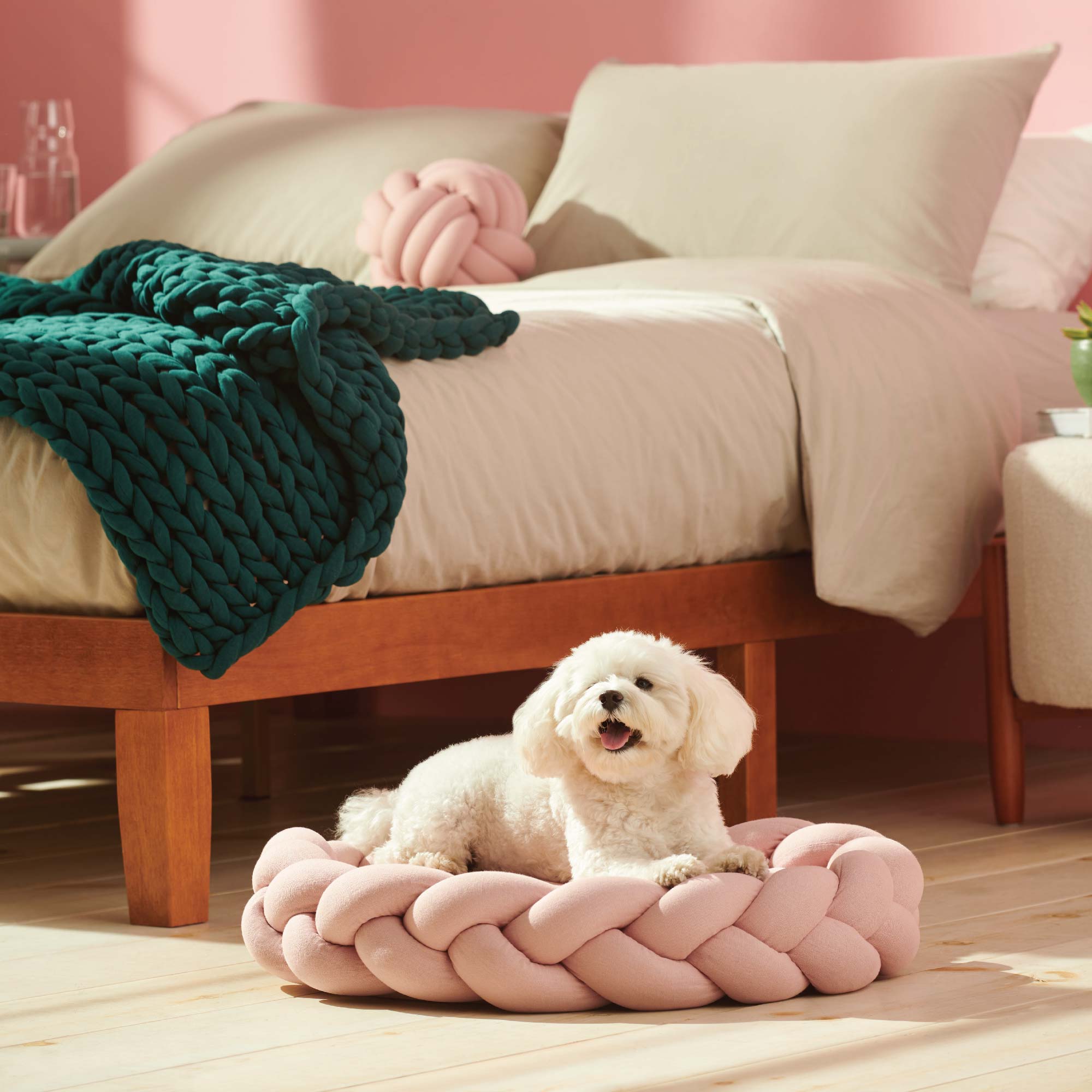 Meet the Pupper Pod: A Pawfectly Soothing Dog Bed