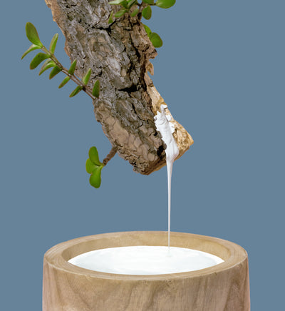 Natural Melofoam™