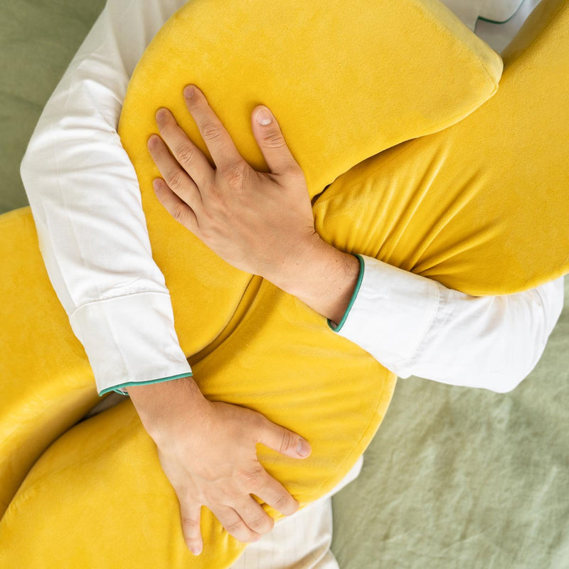 Hugging the french fry body pillow