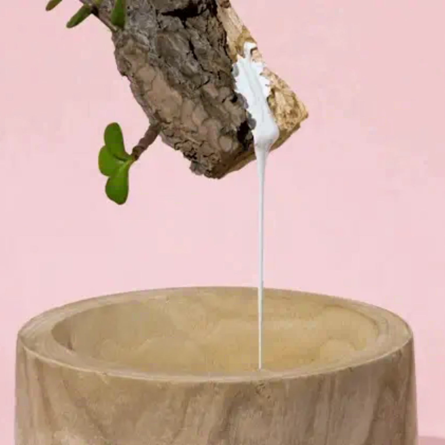 Made from the earth, good for the earth.