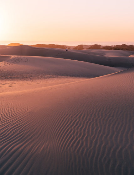 Sunrise in the desert
