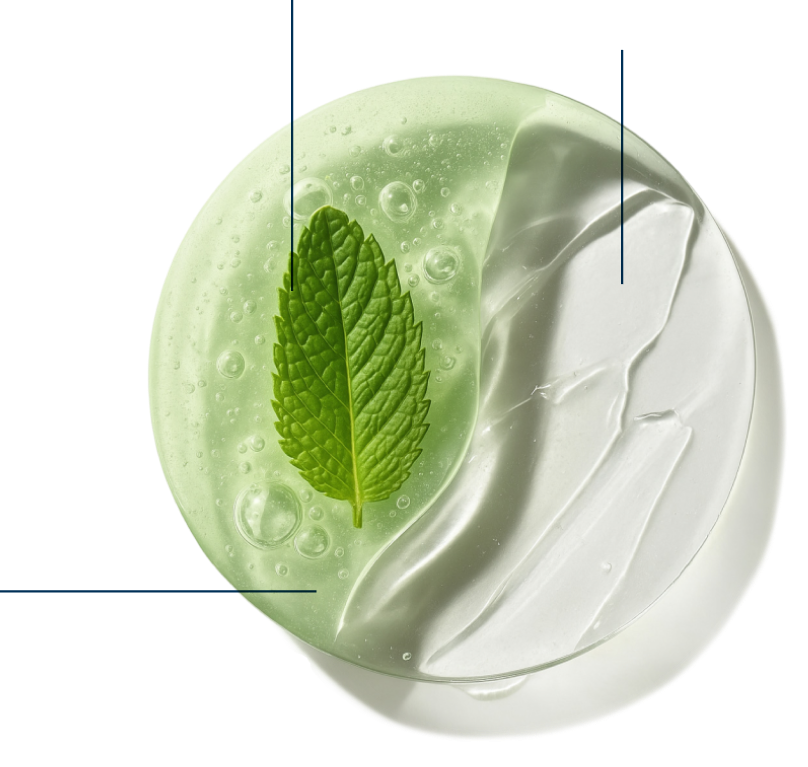 Peppermint Ingredients